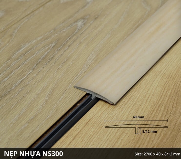 NS300